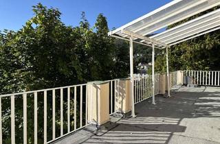 Wohnung mieten in 69239 Neckarsteinach, Exklusive Mietwohnung in kernsanierter Jugendstilvilla mit Neckarblick und großer Terrasse