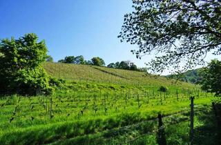 Wohnung mieten in Auf Den Bergen, 01445 Radebeul, In den Radebeuler Weinbergen