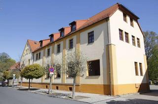 Wohnung mieten in Rosa-Luxemburg-Str. 23, 04916 Herzberg, 3 Zimmer Dachgeschosswohnung mit großer Terrasse und EBK