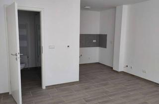 Wohnung mieten in 76833 Frankweiler, helles Studio in Frankweiler