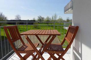 Wohnung mieten in Südend 18, 77966 Kappel-Grafenhausen, Bezugsfreie, moderne 3-Zimmer-Wohnung im Erdgeschoss mit Balkon und Einbauküche in Kappel