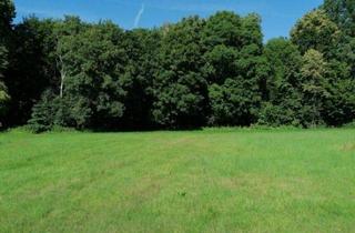 Grundstück zu kaufen in 04808 Lossatal, Idyllisches Baugrundstück mit ca. 2.642 m² Grundstücksfläche in einmaliger Lage!!!
