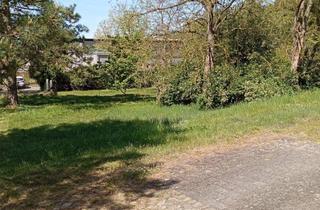 Einfamilienhaus kaufen in 39524 Klietz, Geräumiges, preiswertes 10-Raum-Einfamilienhaus in Klietz Haus mit großem Park