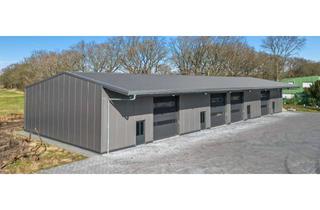 Gewerbeimmobilie mieten in 25746 Heide, Neubau - Gewerbehalle mit 650m² NFL. in Toplage und Anpassbar an Ihre Bedürfnisse.