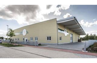 Büro zu mieten in Grothwisch, 25482 Appen, Moderne Produktions- und Lagerhalle mit Büroflächen