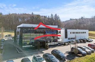 Gewerbeimmobilie kaufen in 78333 Stockach, Ihr Schlüssel zum Erfolg: Büro- und Industriegebäude in bester Lage – 78333 Stockach
