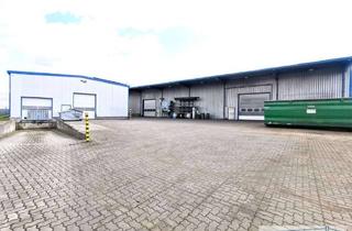 Gewerbeimmobilie kaufen in 27419 Sittensen, A1-HH/HB - 2 bzw. 3 moderne Lagerhallen mit mod. Bürogebäude, PV und Baugrundstück im Gewerbegebiet