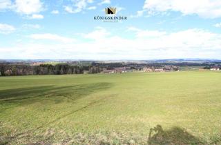 Grundstück zu kaufen in 88161 Lindenberg, Reserviert !Traumgrundstück zur Wohnbebauung !