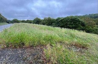 Grundstück zu kaufen in 66265 Heusweiler, Saarland, Heusweiler: Landwirtschaftliche Fläche, Acker-, Grünland