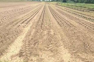 Gewerbeimmobilie kaufen in Gewann Streitgraben, 70771 Leinfelden-Echterdingen, Großes landwirtschaftliches Grundstück in Leinfelden-Echterdingen zu verkaufen