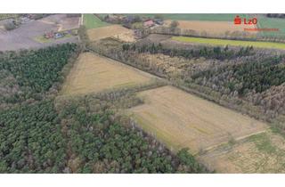 Gewerbeimmobilie kaufen in 49393 Lohne, Beste Ackerflächen, ehemalige Mühle und Gehölz in Lohne-Krimpenfort zu verkaufen!
