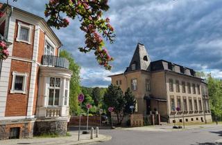 Villa kaufen in 16259 Bad Freienwalde, Historische Villa, ca. 30 Zimmer, aus der Kaiserzeit / Praxis-, Kanzlei-, Mehrgenerationenhaus