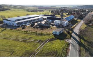 Gewerbeimmobilie mieten in Rathewitz 29, 06618 Görschen, Großes Hallen-Areal in viele Einzelbereiche teilbar