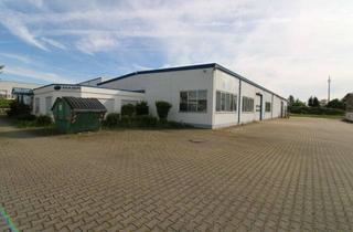 Gewerbeimmobilie mieten in 74635 Kupferzell, Hallen- und Produktionsflächen. Provisionsfrei!