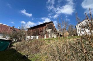 Grundstück zu kaufen in 86576 Schiltberg, BAUEN LEICHT GEMACHT - MIT VIEL POTENZIAL