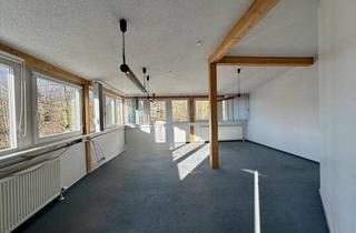 Gewerbeimmobilie mieten in 56305 Puderbach, Büroetage - mit Teeküche - ab sofort in Puderbach zu vermieten!