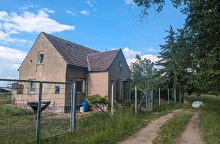 Haus kaufen in 06925 Annaburg, Annaburg - Haus zu verkaufen