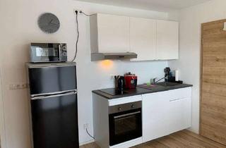 Wohnung mieten in Frundsbergstrasse 21, 87719 Mindelheim, Exklusive 1-Zimmer-Wohnung mit gehobener Innenausstattung in Mindelheim