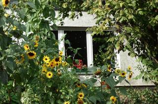 Mehrfamilienhaus kaufen in 65527 Niedernhausen, Wunderschönes, grosses Mehrfamilienhaus mit barrierefreier Terrassenwohnung in Niedernhausen