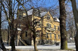 Villa kaufen in 08209 Auerbach, Fabrikantenvilla + Farbikgebäude auf 103.000 m² Gründstücksfläche