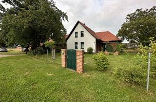 Haus kaufen in 31604 Raddestorf, Traumhaus in Raddesdorf – Kernsaniertes Juwel auf 21.000 m² Grundstück