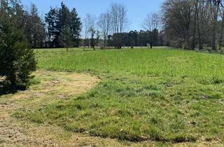 Einfamilienhaus kaufen in 49549 Ladbergen, renoviertes Einfamilienhaus in ländlicher Idylle !