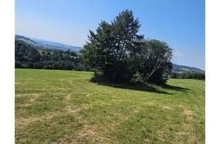 Grundstück zu kaufen in Am Rohland, 37539 Bad Grund, Freistehende Wiese direkt am Harz!