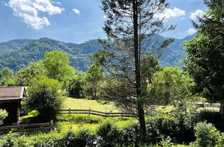 Grundstück zu kaufen in 83246 Unterwössen, GST mit Altbestand in naturnaher Lage mit Bergblick zur Neugestaltung