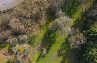 Grundstück zu kaufen in 36391 Sinntal, Großzügiges Baugrundstück mit Hanglage in Oberzell – erschlossen und kurzfristig bebaubar