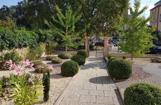 Gewerbeimmobilie mieten in Schlossplatz, 67292 Kirchheimbolanden, EUPORA® Immobilien: Gewerberaume in einem historischen Anwesen in Kirchheimbolanden.