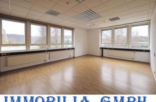 Büro zu mieten in 66440 Blieskastel, BÜROFLÄCHEN - Büroflächen im Biosphären Reservat Bliesgau (66440 Blieskastel-Bierbach)