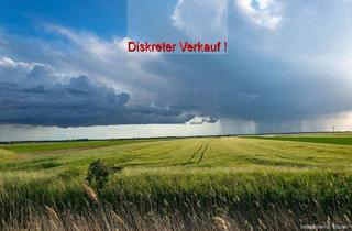 Gewerbeimmobilie kaufen in 86609 Donauwörth, Große, zusammenhängende landwirtschaftliche Fläche in Donauwörth- Berg