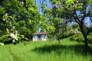 Gewerbeimmobilie kaufen in 61476 Kronberg, Sie suchen Natur pur ? hier finden Sie einen wilden, ökologischen Garten !