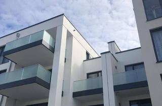 Penthouse mieten in Waldmeisterweg, 41352 Korschenbroich, Exklusive 2-Zimmer-Penthouse-Wohnung mit 2 Balkonen in Korschenbroich