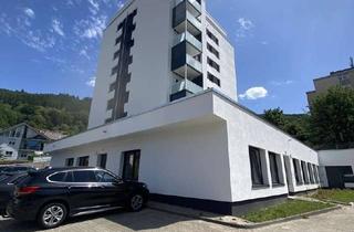 Büro zu mieten in Am Schlüsselacker, 69412 Eberbach, kernsanierte Praxis- und Büroflächen ab 54 QM bis 316 QM