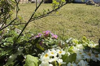 Einfamilienhaus kaufen in 73565 Spraitbach, Spraitbach - Wo Träume wachsen - Ein Zuhause für Ihre Zukunft und Familie!