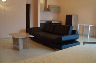 Wohnung mieten in 93102 Pfatter, möbliertes Apartment inkl. Einbauküche für Wochenendheimfahrer