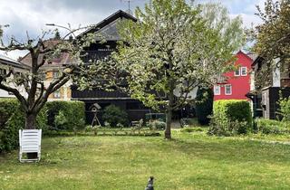 Wohnung mieten in Schulstraße, 63654 Büdingen, 3-Zimmer Wohnung mit großer Dachterrasse und Gartenmitbenutzung