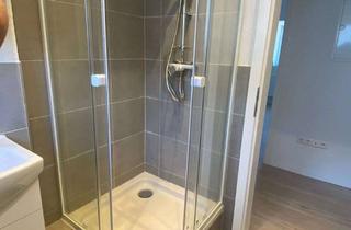 Wohnung mieten in Bergstraße, 79761 Waldshut-Tiengen, Exklusive, modernisierte 2-Raum-DG-Wohnung in Waldshut-Tiengen