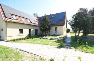 Wohnung mieten in Harkenblecker Str., 30982 Pattensen, 3 Zimmer-Wohnung mit Garten - Erdgeschosskomfort trifft Freiraum