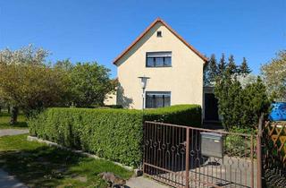 Einfamilienhaus kaufen in Russenhäuser 11, 02748 Bernstadt, gemütliches Einfamilienhaus in ruhiger Lage, Bernstadt OL mit 1210 qm Grundstück