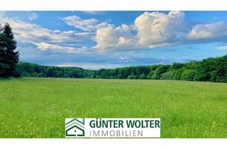 Haus kaufen in 54585 Esch, Naturidylle pur: Anwesen mit Wald, Wiese & Weitblick in der Eifel !