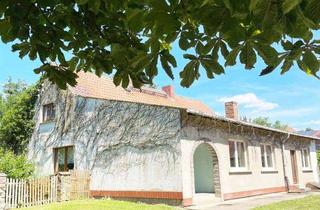 Bauernhaus kaufen in 39291 Möckern, Toller Hof bei Berlin: fast 8000 m² Grundstück mit Bauernhaus & Scheune – ideal für Pferdeliebhaber