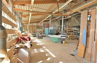 Gewerbeimmobilie kaufen in 73333 Gingen, Moderne Industriehalle mit vielfältigen Nutzungsmöglichkeiten!