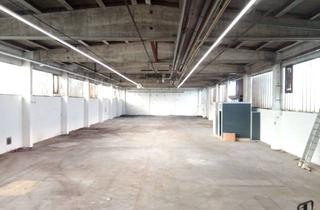 Gewerbeimmobilie mieten in Neue Siedlung 44, 95339 Neuenmarkt, Lagerhalle (ggf. Produktion) in Neuenmarkt/Hegnabrunn