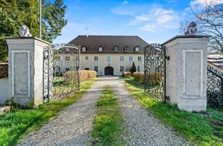 Anlageobjekt in 88433 Schemmerhofen, Seltene Kapitalanlage! Denkmalgeschütztes Schlossgebäude mit 9 Wohneinheiten und Ausbaupotenzial