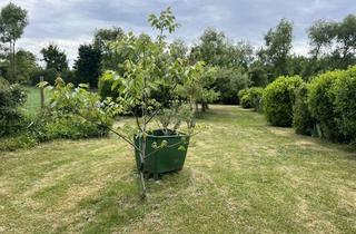 Grundstück zu kaufen in 71254 Ditzingen, Gartengrundstück als Wohlfühloase und vielfältig nutzbar
