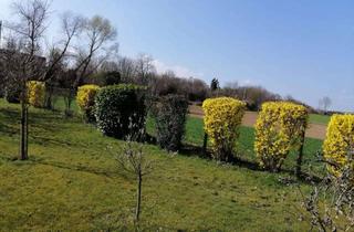 Grundstück zu kaufen in 71254 Ditzingen, Eingezäuntes und ebenes Gartengrundstück in Ditzingen