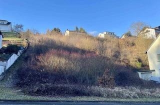 Grundstück zu kaufen in 97483 Eltmann, Tiny House oder mehr? Nur 15 Min. bis Bamberg!