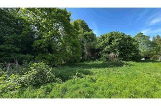 Grundstück zu kaufen in 25358 Horst, Naturbelassenes Baugrundstück in attraktiver Lage von Horst-Hahnenkamp (Holstein) – 1.158 m²